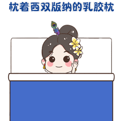 西双版纳先锋