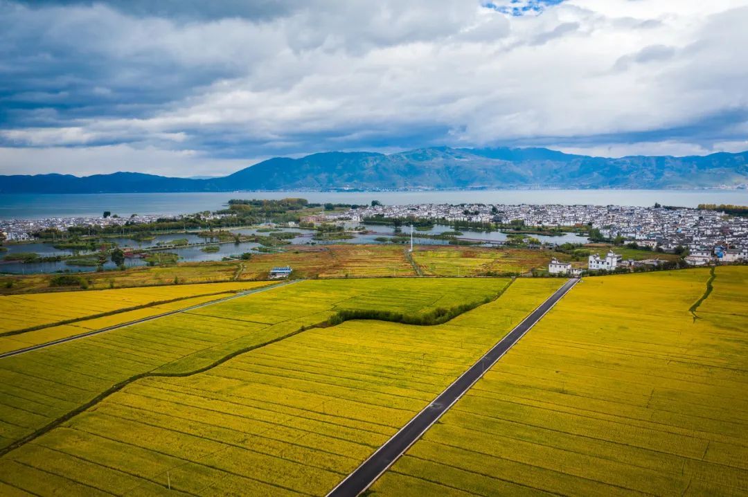 云南省文化和旅游厅