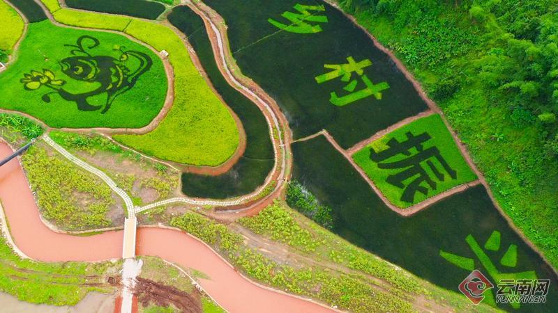 云南省文化和旅游厅