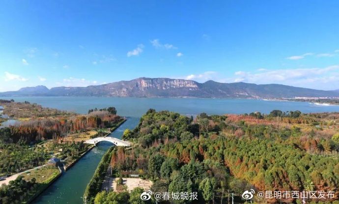 昆明市西山区发布