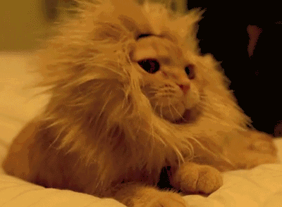 打哈欠真的会传染 