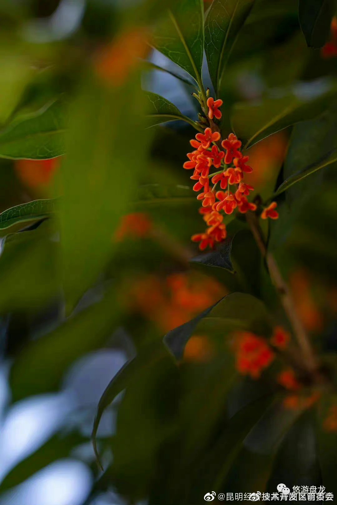 昆明经济技术开发区管委会