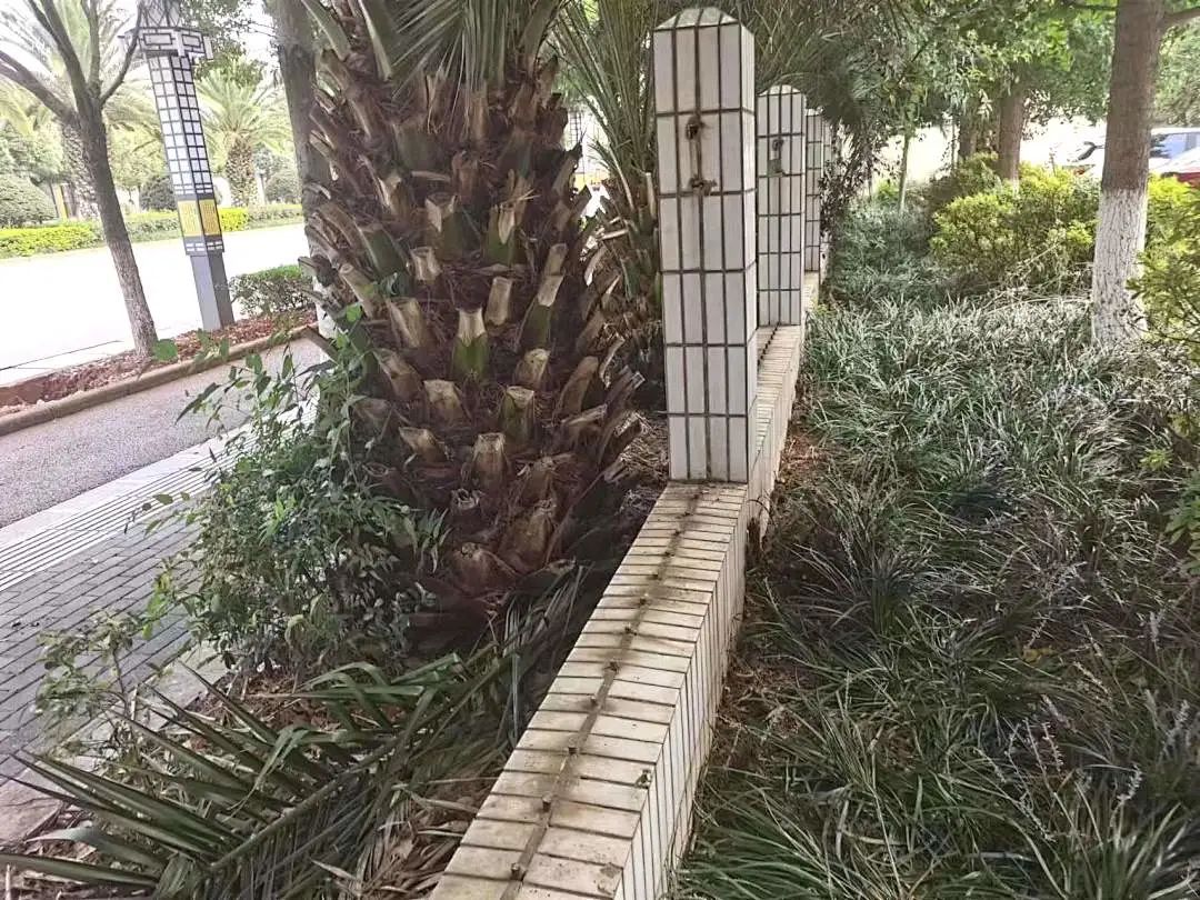 悦读嵩明