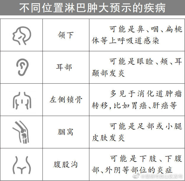 一图看懂不同部位淋巴肿大预示的疾病