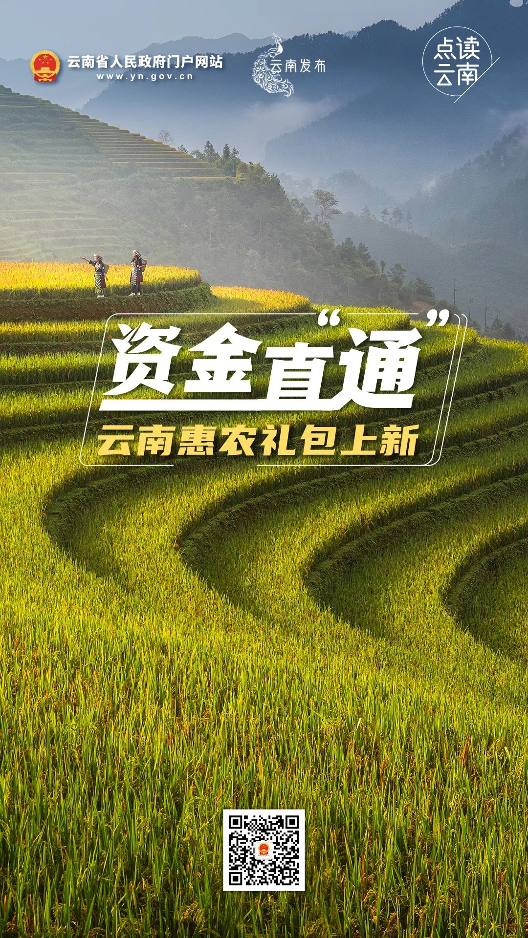 云南省人民政府网