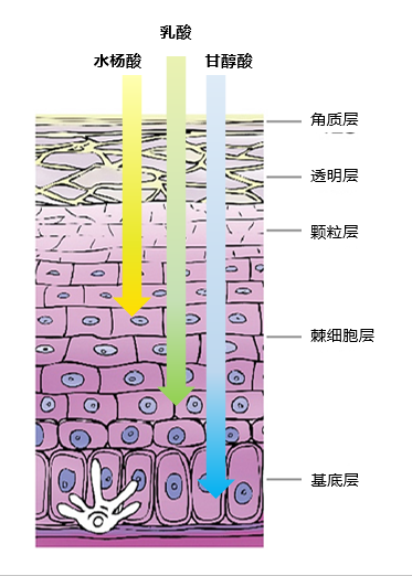 云南省中医医院