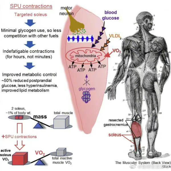 “昆明官渡发布”微博