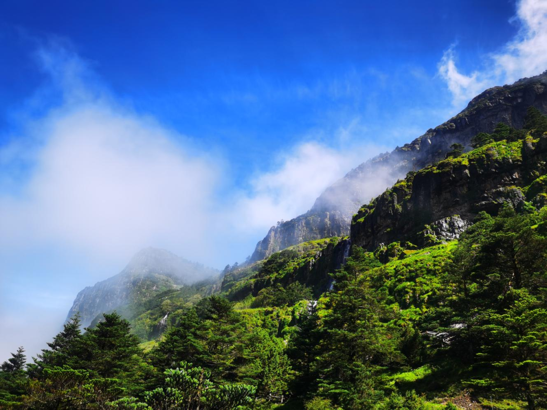 昆明轿子山旅游
