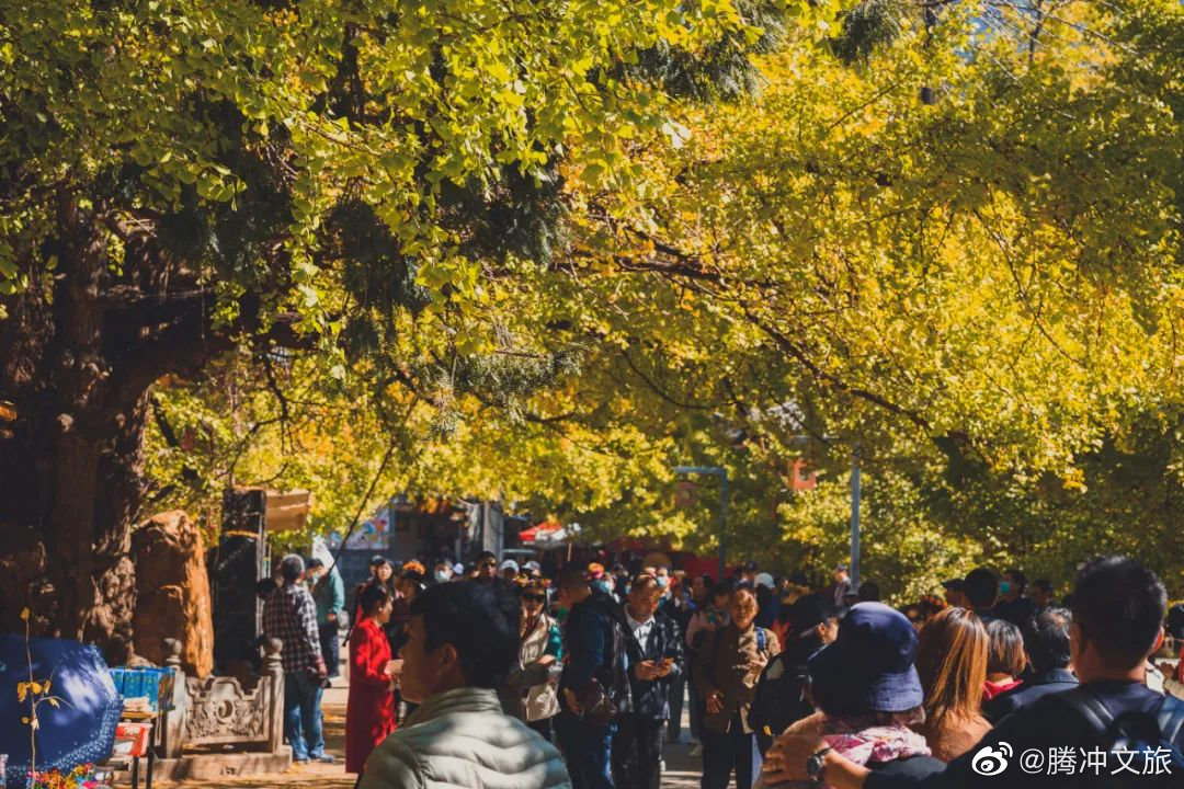 腾冲文旅微博