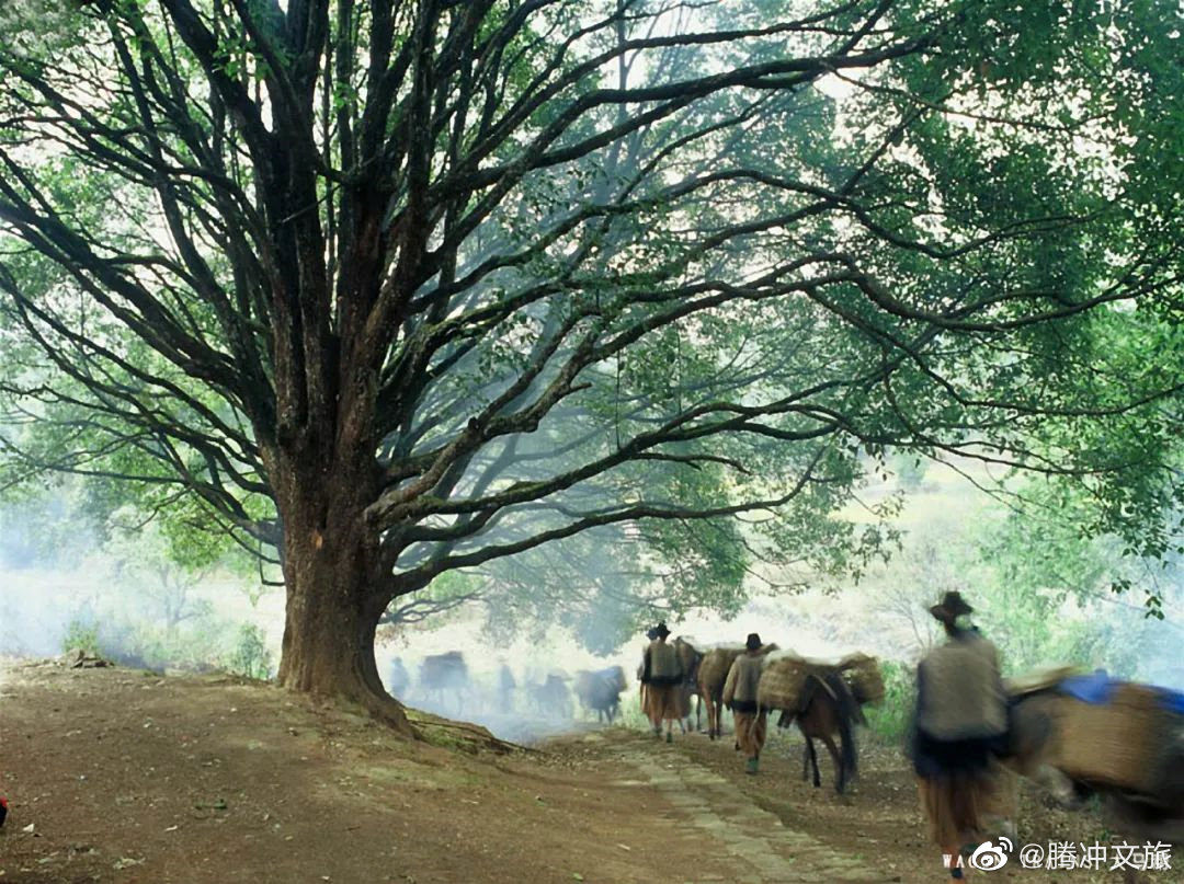 腾冲文旅微博