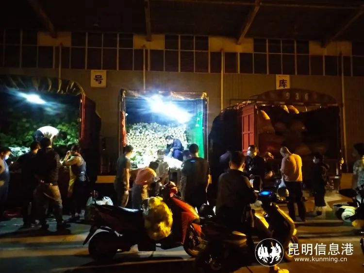 云南信息报