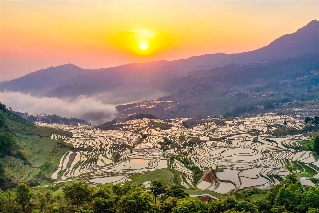 云南省文化和旅游厅