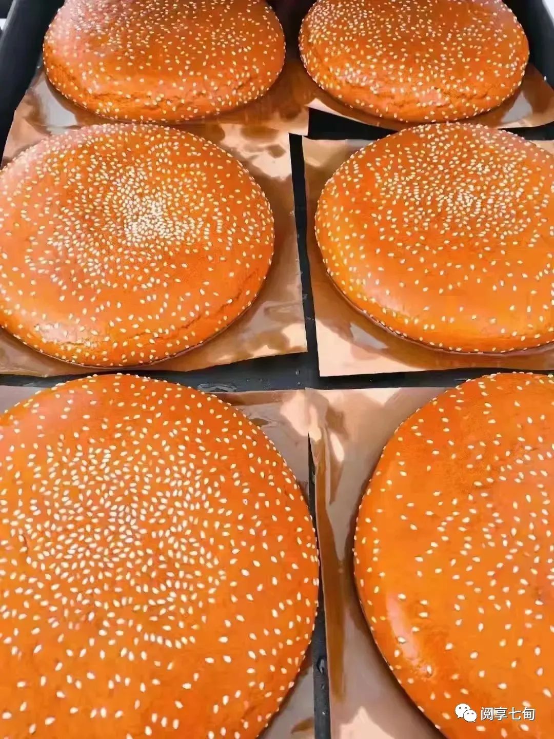 昆明阳宗海风景名胜区