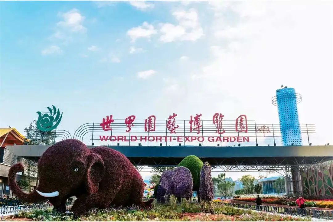 盘龙统战(微信)