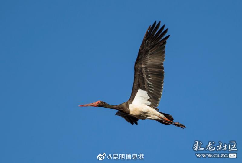 昆明信息港