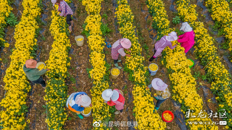 昆明信息港