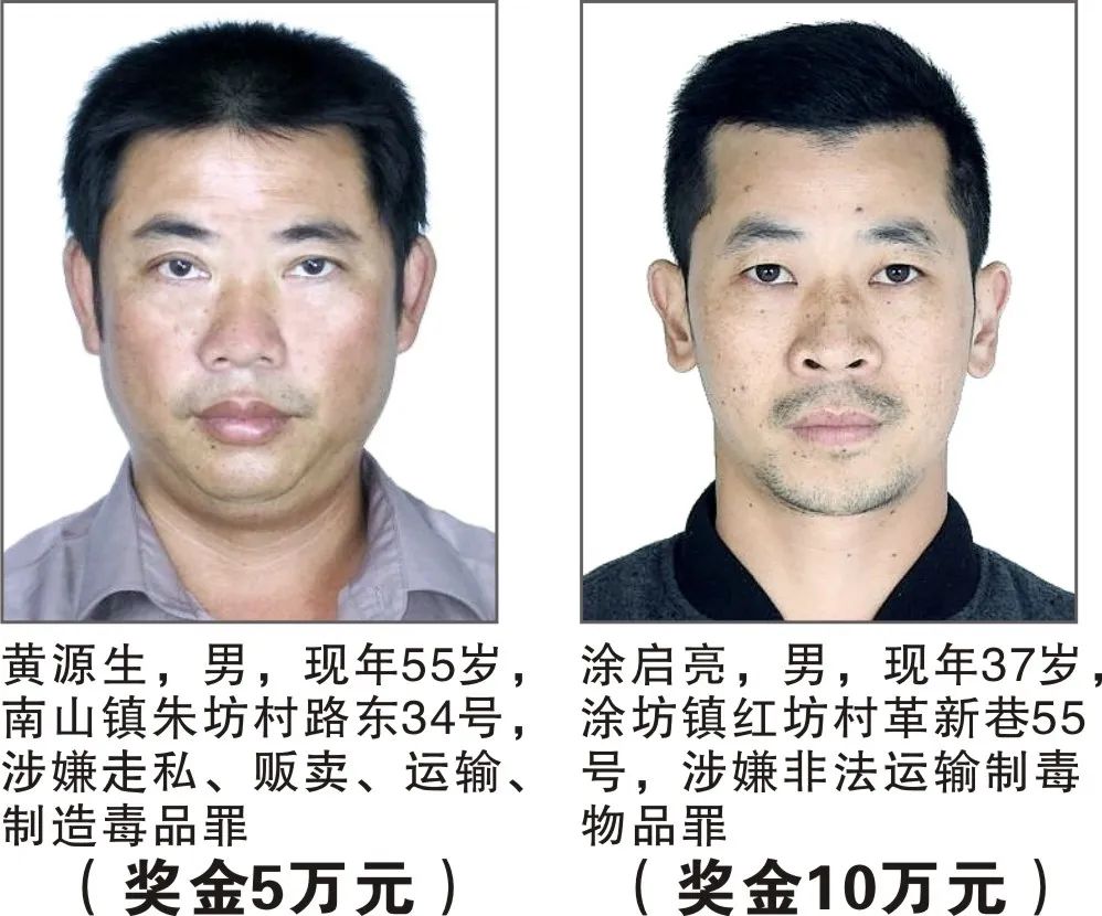 掌上春城