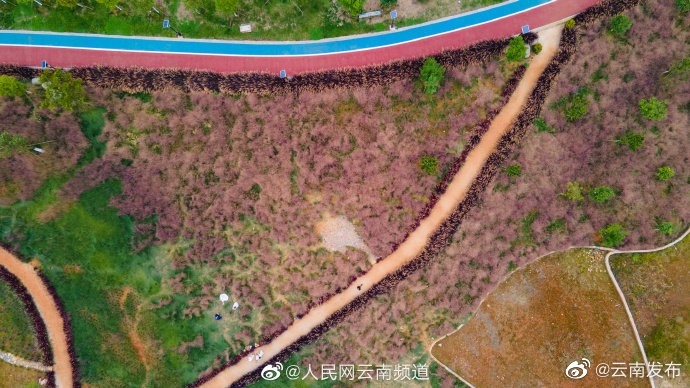 “云南发布”微博