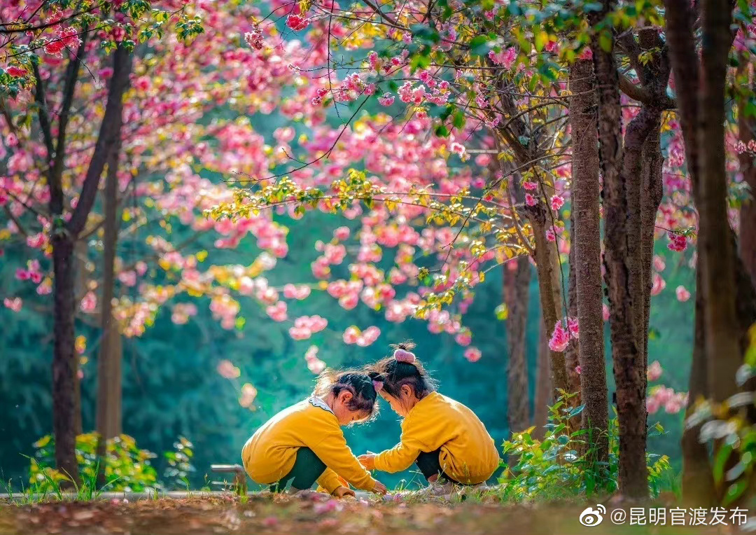 “昆明官渡发布”微博