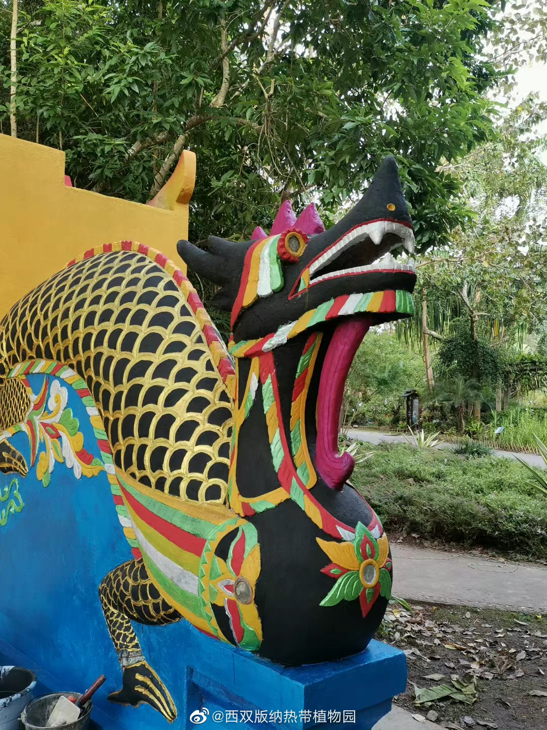 西双版纳热带植物园微博