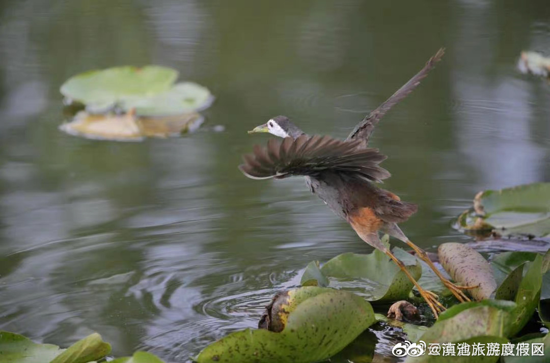 滇池旅游度假区