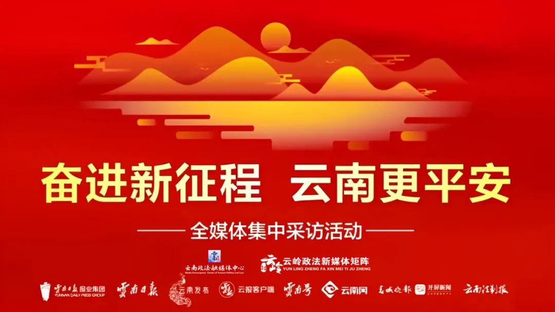 云南政法