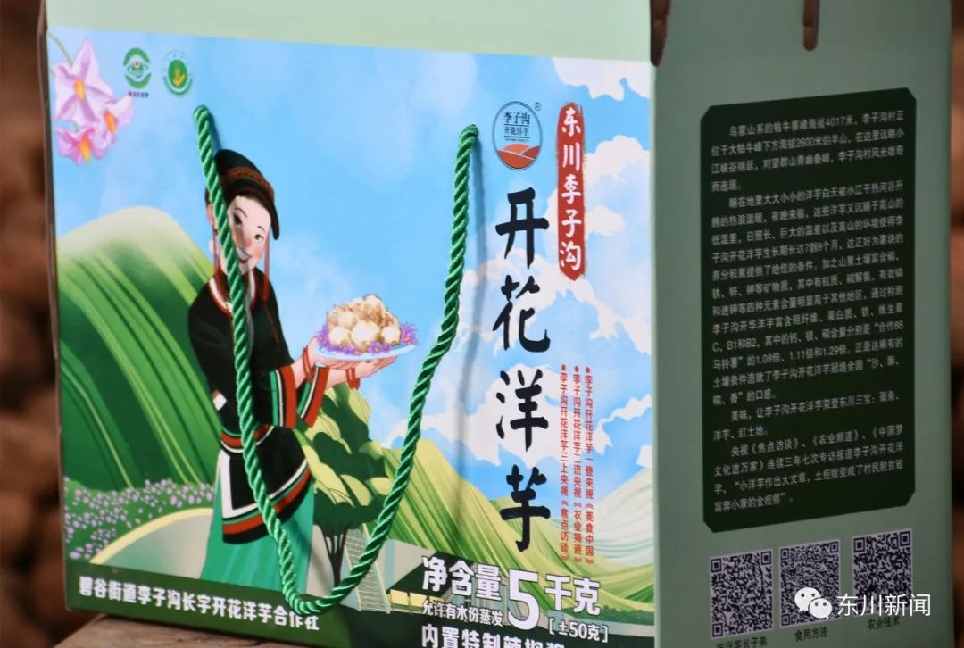 东川新闻
