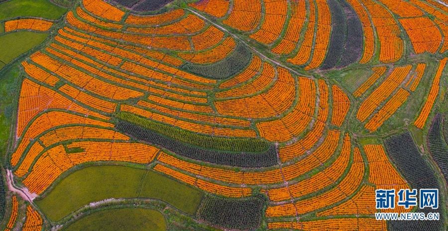 云南省文化和旅游厅