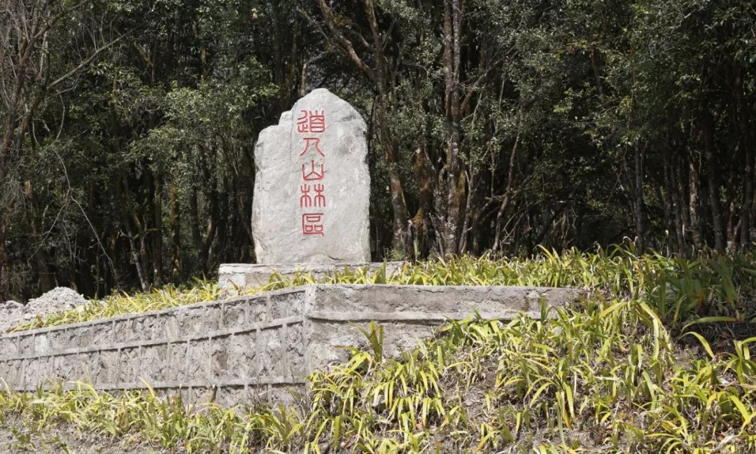 保山新闻网
