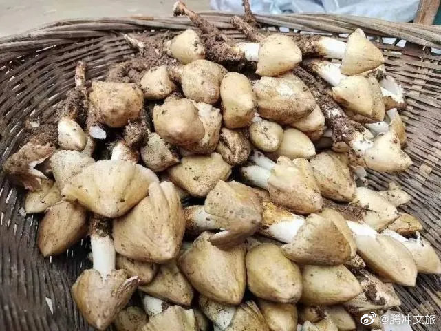 腾冲文旅微博