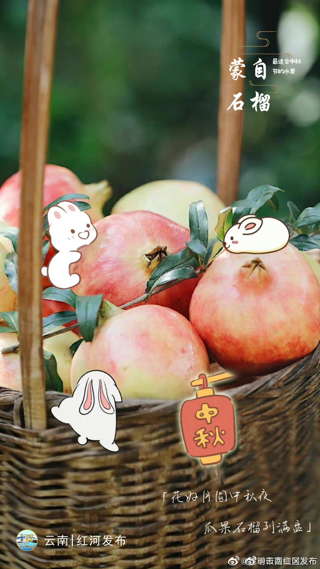 昆明市西山区发布