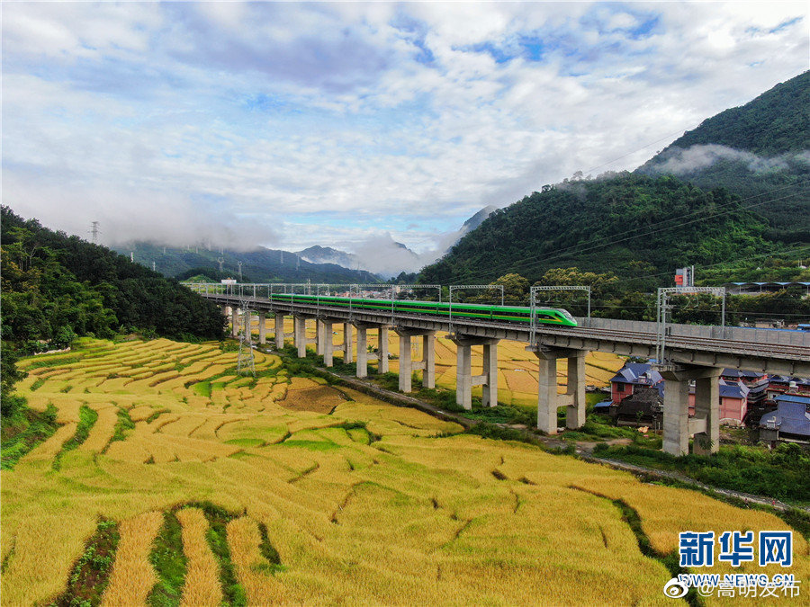 嵩明发布