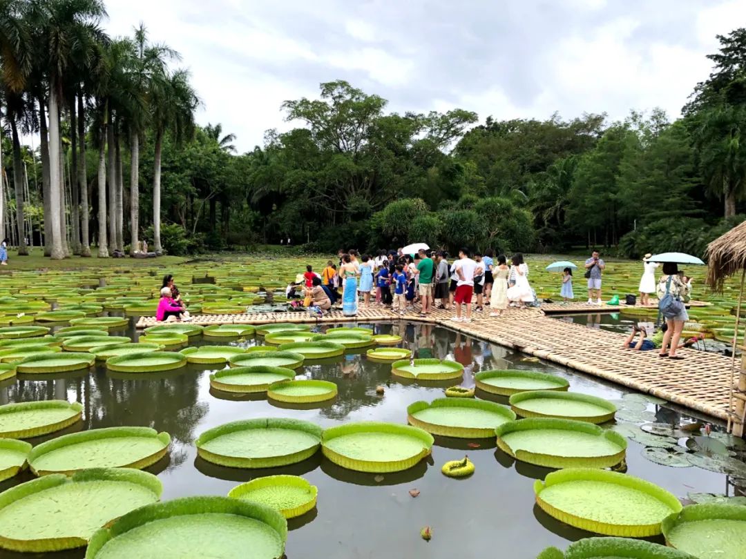 云南省人民政府网