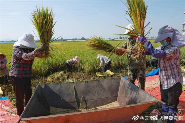 呈贡发布