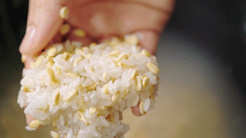 做杂粮饭有两个最佳比例