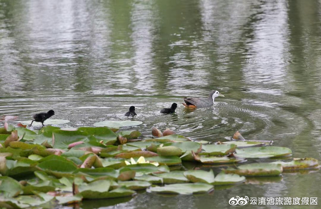 滇池旅游度假区