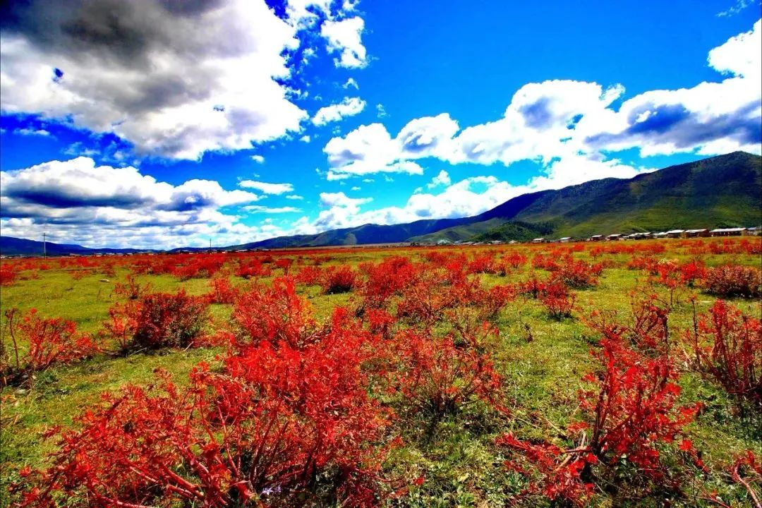 一部手机游云南