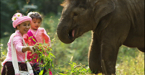 昆明国家高新区发布