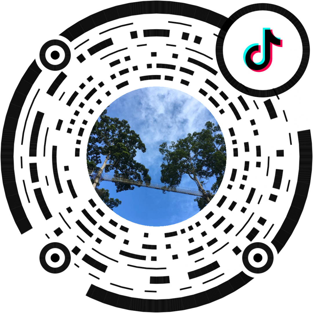 西双版纳望天树景区