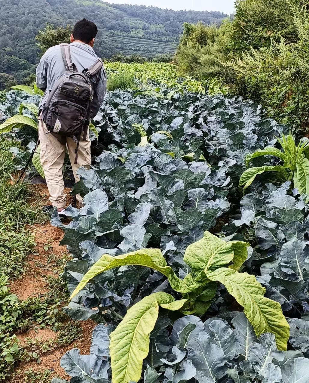 悦读嵩明