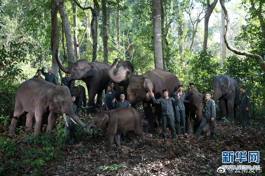 听大象医生讲“开学第一课”
