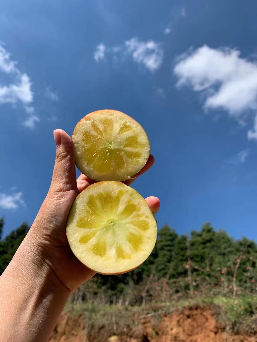 爱上富民