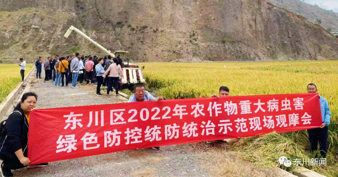 东川新闻