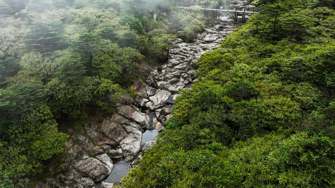 昆明轿子山旅游