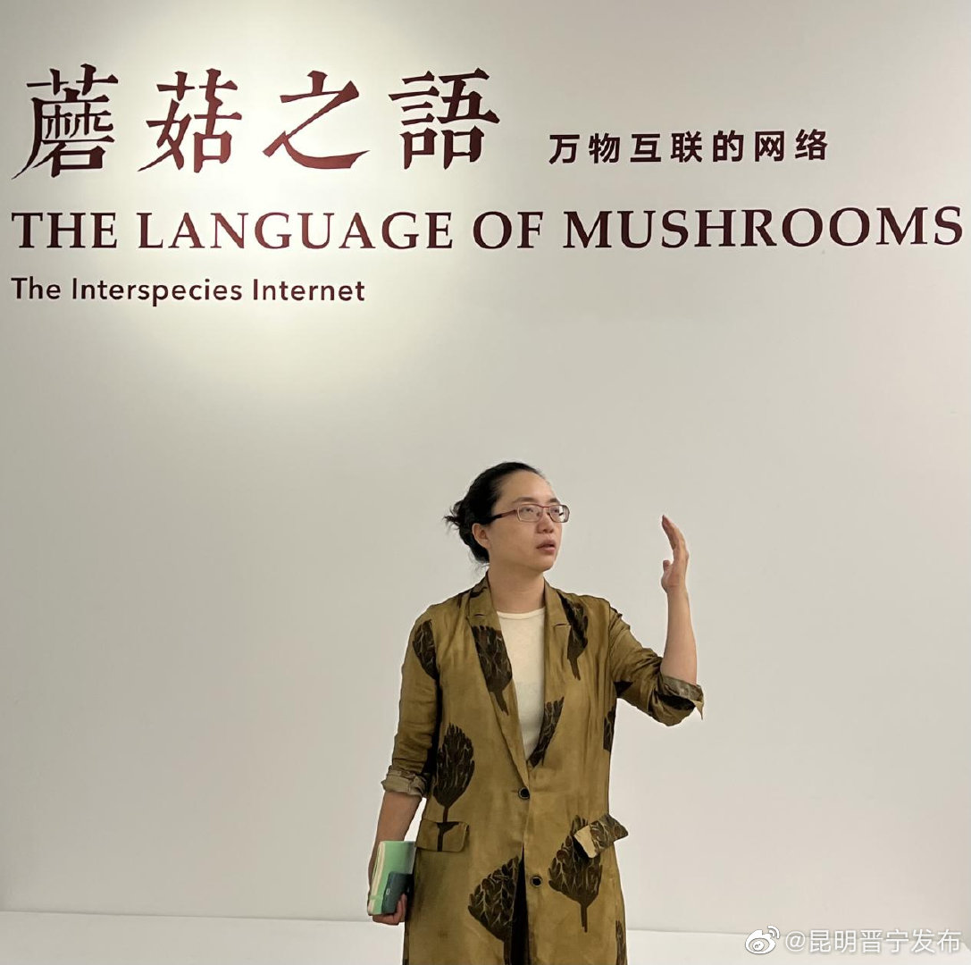 昆明晋宁发布
