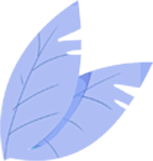 大理日报