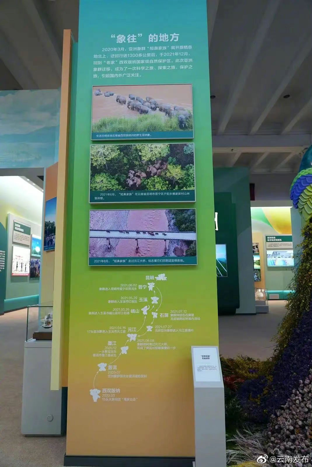 “云南发布”微博