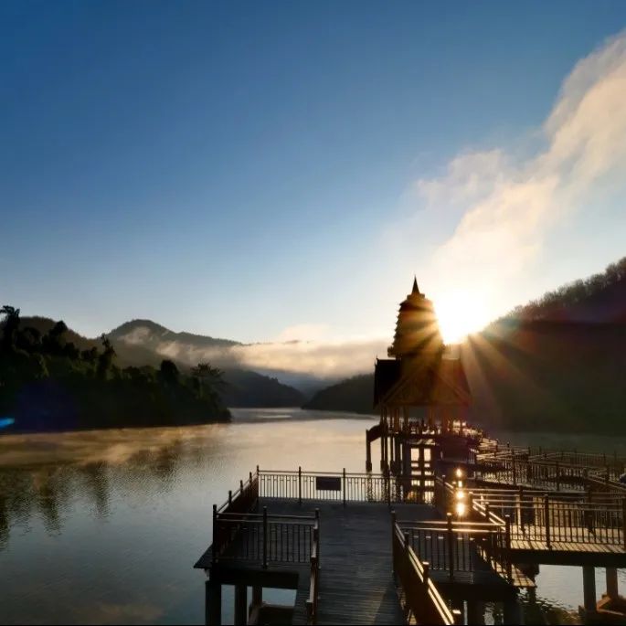 西双版纳望天树景区