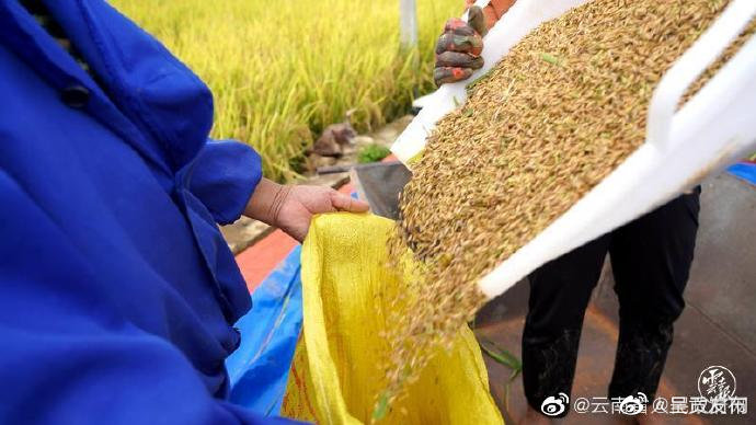 呈贡发布