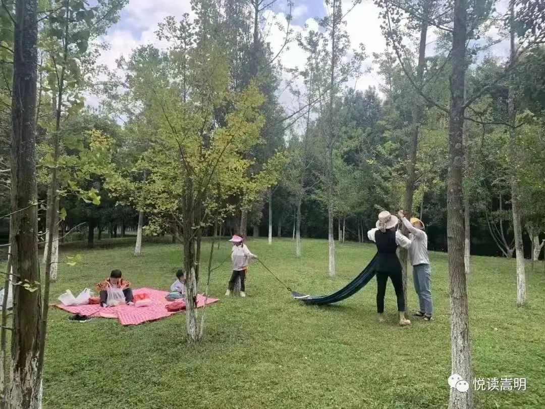 悦读嵩明